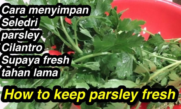 Cara Simpan Peterseli Agar Tetap Segar Dan Selama 2 Minggu