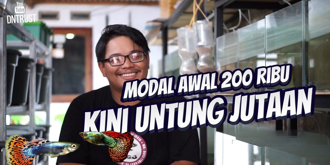 Tips Sukses Ternak Ikan Dengan Modal Rp200 Ribu Saja!