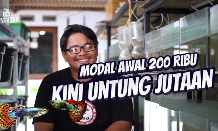 Tips Sukses Ternak Ikan Dengan Modal Rp200 Ribu Saja!