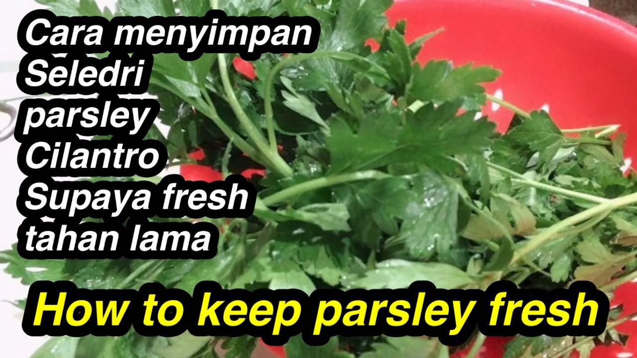 Cara Simpan Peterseli
