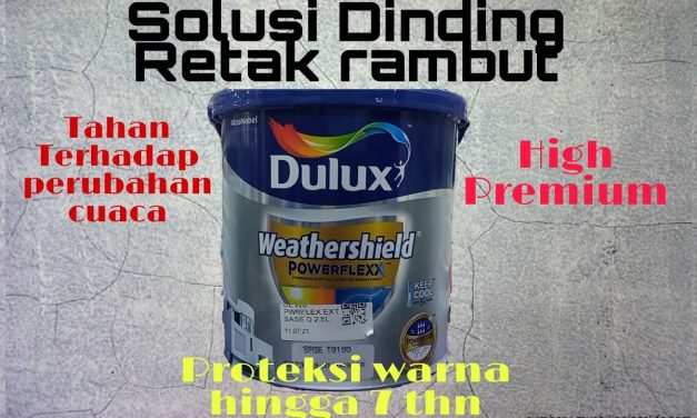 Warna Cat Dinding Luar Terbaik Untuk Menyiasati Retak Rambut