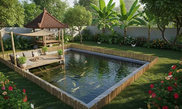 Cara Membuat Kolam Ikan Yang Sehat Dan Indah