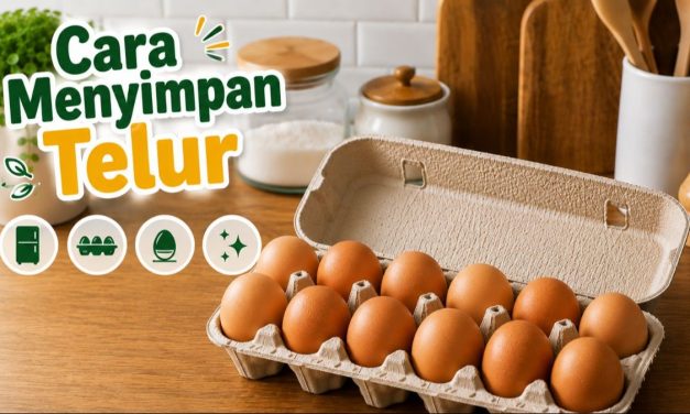 Cara Menyimpan Telur Agar Tidak Cepat Rusak Dan Busuk