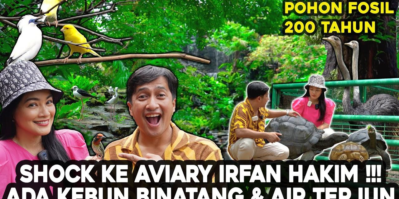 Fakta Menarik Dehakim Aviary Kawasan Konservasi Dan Edukasi