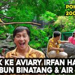 Fakta Menarik Dehakim Aviary Kawasan Konservasi Dan Edukasi