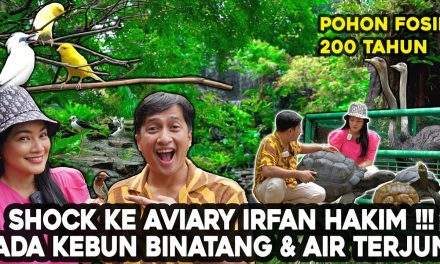 Fakta Menarik Dehakim Aviary Kawasan Konservasi Dan Edukasi