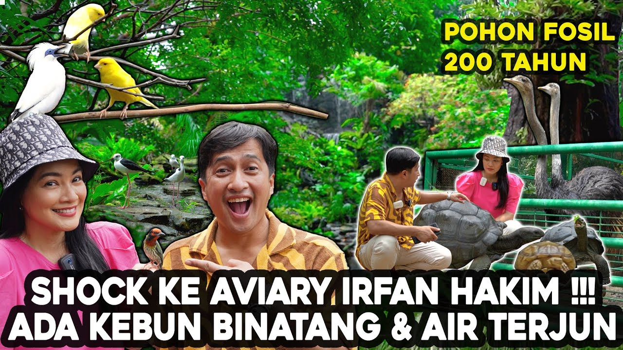 Fakta Menarik Dehakim Aviary