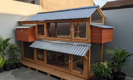 Model Kandang Ayam Dengan Area Umbaran Mini